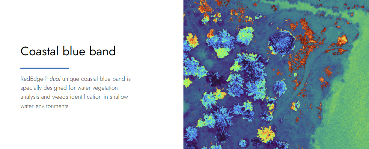 20230509 RDPdual CoastalBlue