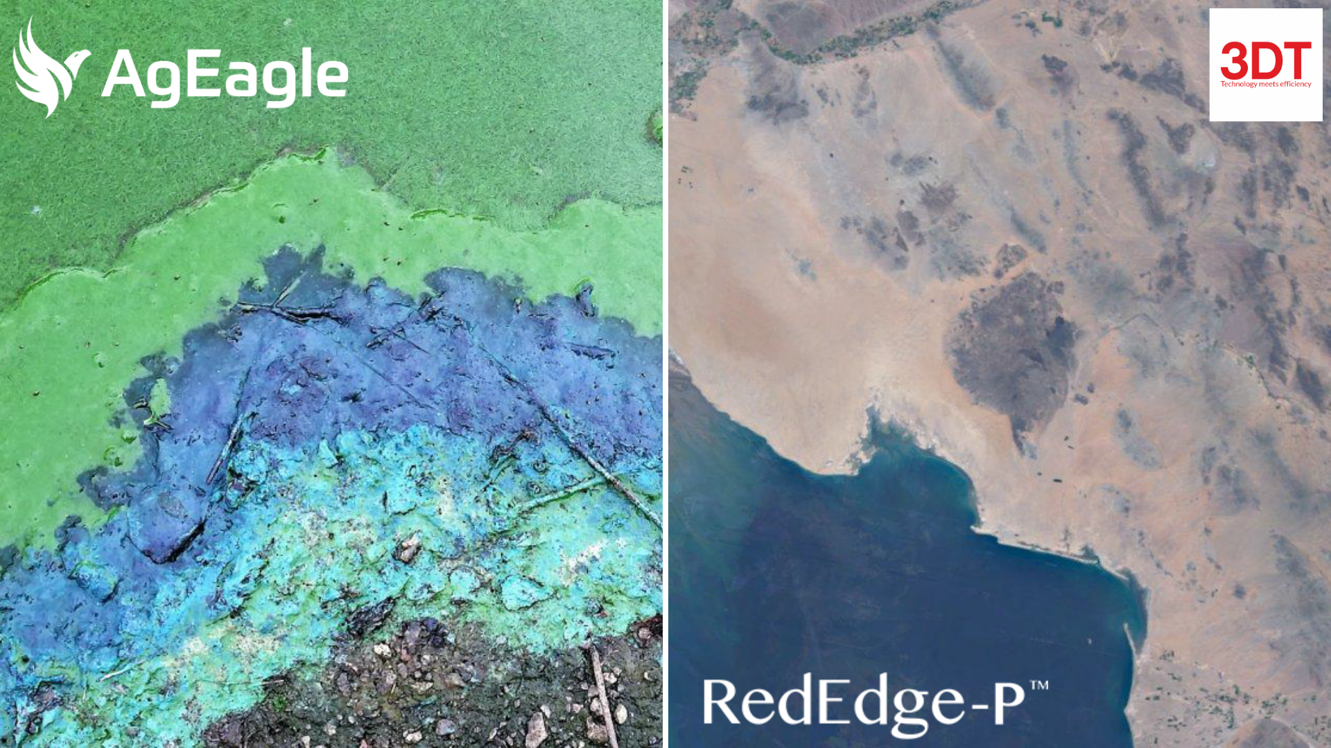 Senza titolo 2 green marino