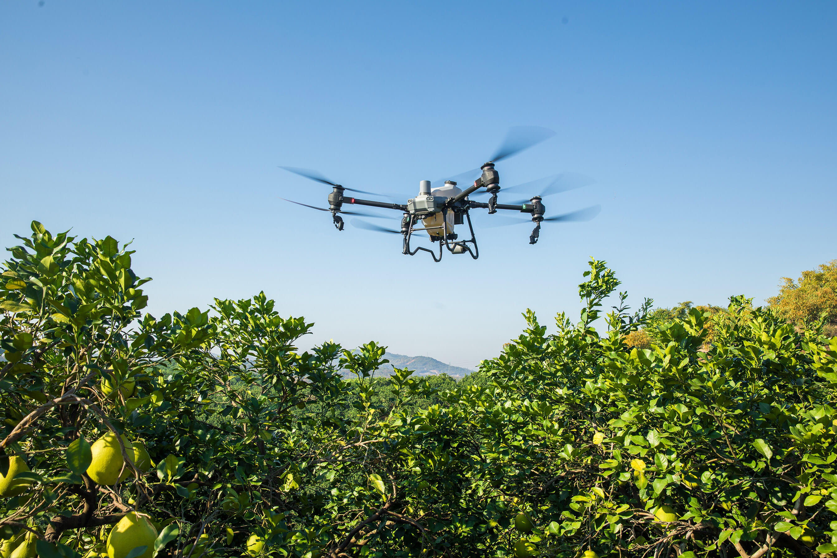 47325af09cd52175396bd35850712718